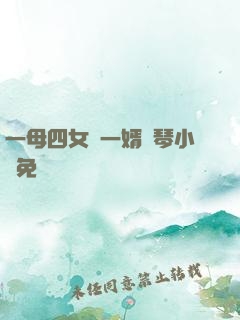 一母四女戰一婿劉琴小說免費閱讀