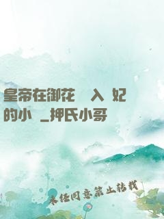皇帝在御花園進入貴妃的小說