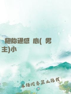 雙胞胎通感夾心(雙男主)小說